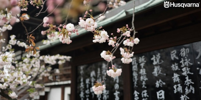 jardín-japonés-flores