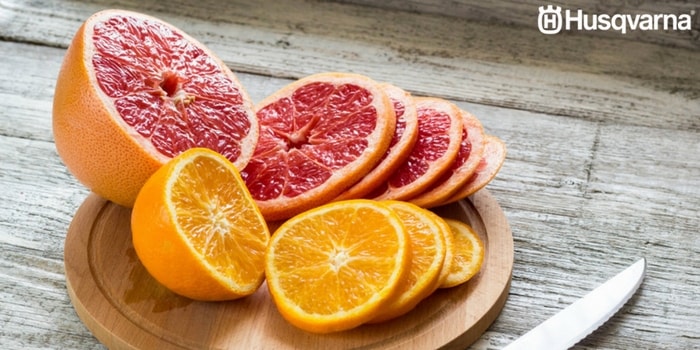 pomelos-naranjas