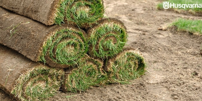 maestría Repetido Alargar Cómo plantar césped: Los requisitos para una buena siembra